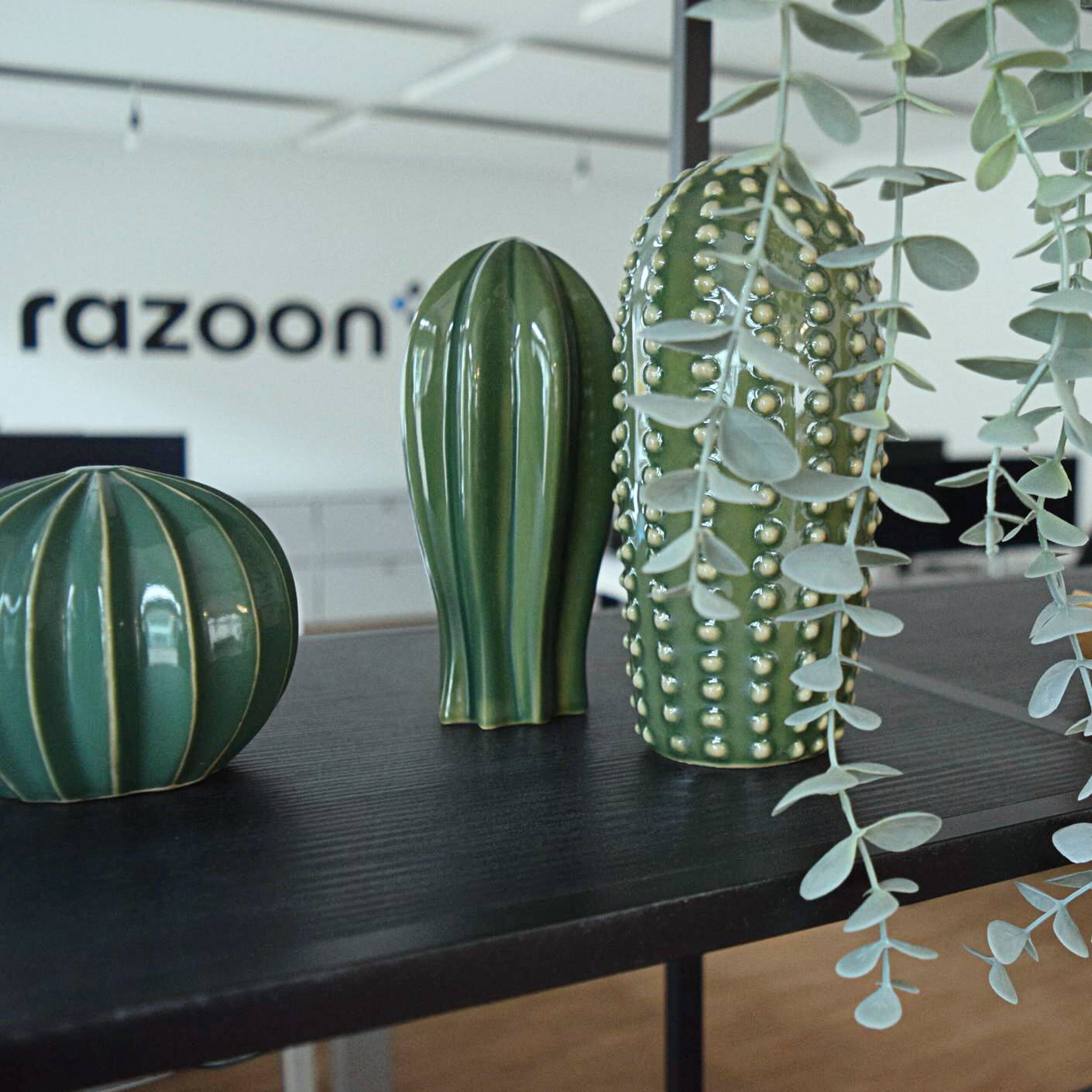 razoon - Our IAM expertise puts you in control razoon - Our IAM expertise puts you in control