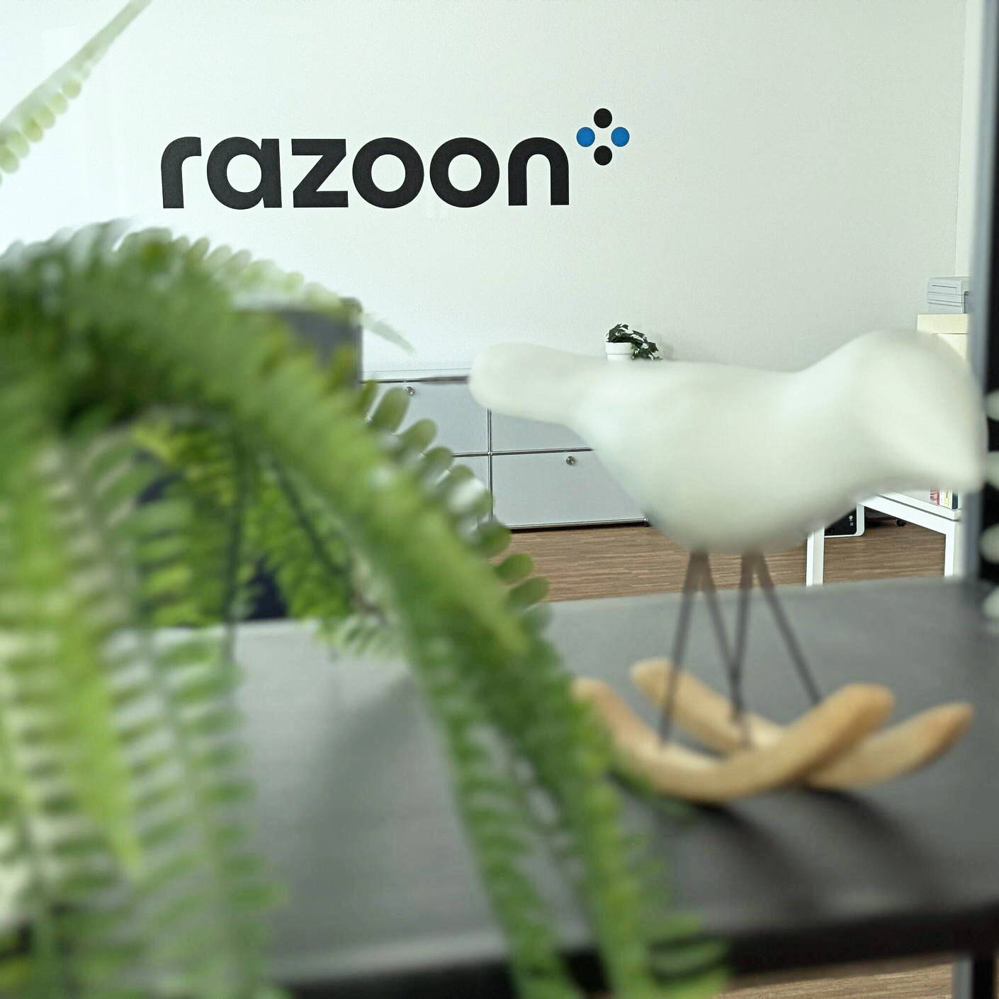 razoon - Our IAM expertise puts you in control razoon - Our IAM expertise puts you in control